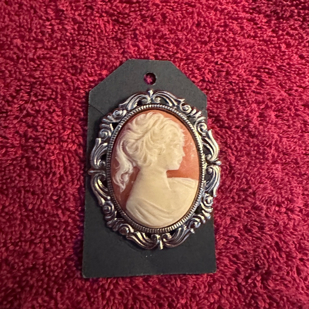 Elegant Silver and Cream Cameo Brooch